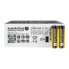 40xbaterie alkaliczne everActive Industrial LR6 AA