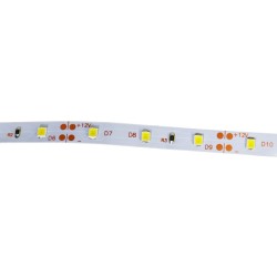 Taśma 300 LED 2835SMD 24W zimna 12V IP20 ECO 5m