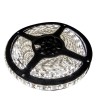 Taśma 300 LED 3528SMD 24W zimna 12V PRE IP44 5m