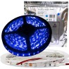 Taśma 300 LED 3528SMD 24W BLUE 12V PRE IP20 5m