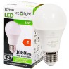 żarówka led CLASSIC E27 12W 3000K EC79285